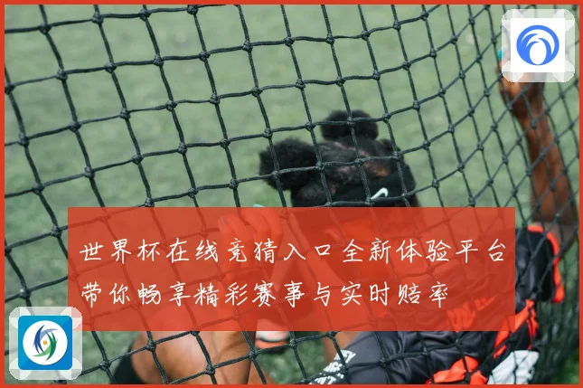 世界杯在线竞猜入口全新体验平台带你畅享精彩赛事与实时赔率