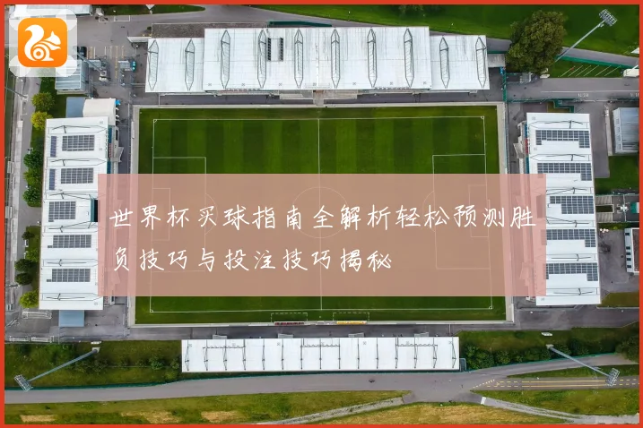 世界杯买球指南全解析轻松预测胜负技巧与投注技巧揭秘