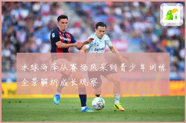 冰球海泽从赛场风采到青少年训练全景解析成长观察