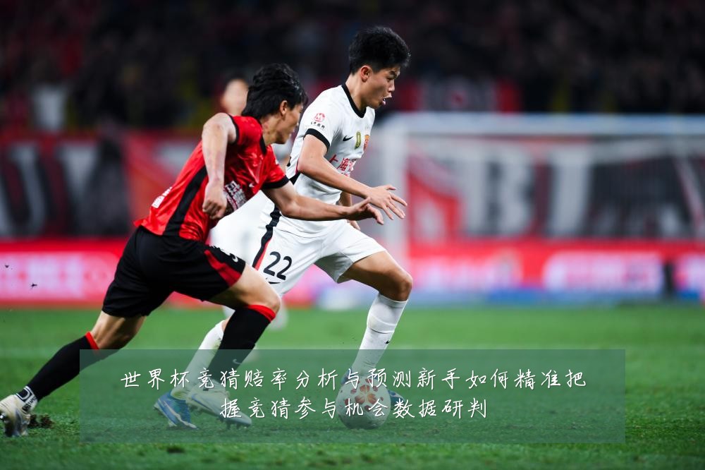 世界杯竞猜赔率分析与预测新手如何精准把握竞猜参与机会数据研判
